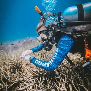 Gasthof Dpm Diving Hotel&bar, Ko Tao