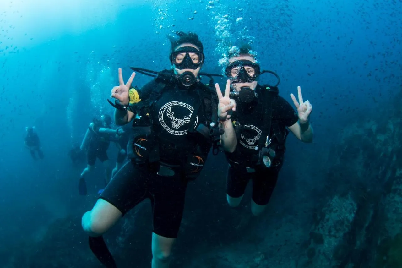 Hotel Carabao Diving Ko Tao Tailandia